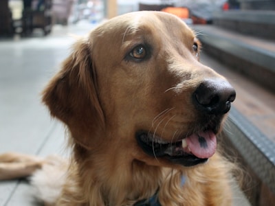 Наші пацієнти