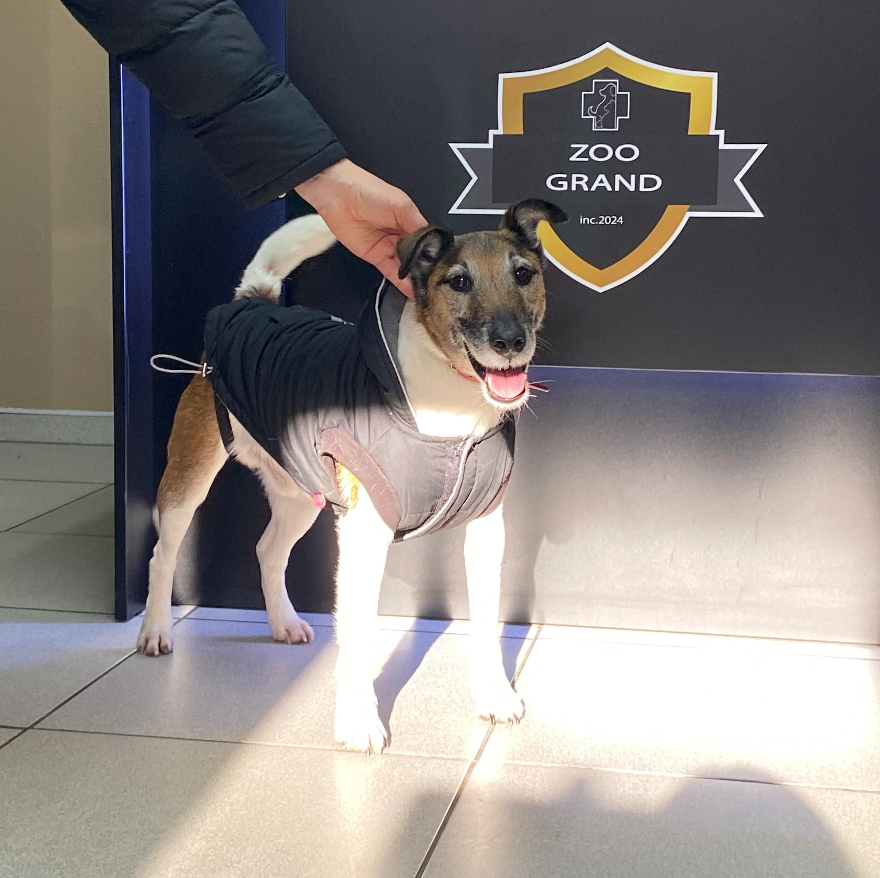 Наші пацієнти