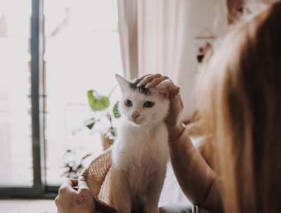 Вакцинація тварин