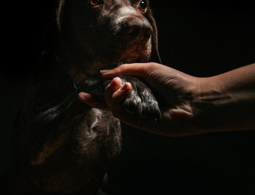 Терапевтичний огляд